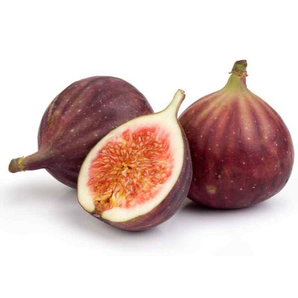Fig Black Genoa fruit
