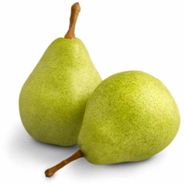 Pear Josephine De Malines fruit
