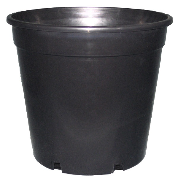 standard plastic  pot  250mm
