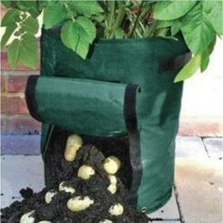 Potato Grow Bag
