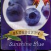 Blueberry Sunshine Blue plant label