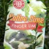 Native Lime