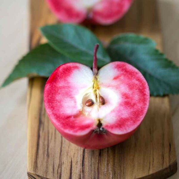 Apple Magnus Summer Surprise fruit