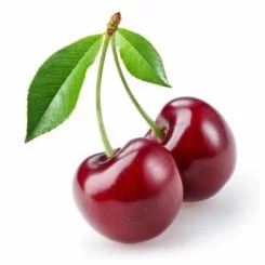 Cherry Morello
