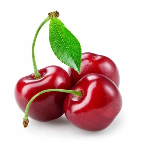 Cherry Stella fruit
