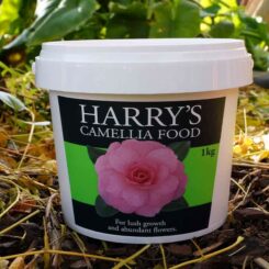Harry's Camellia Food
