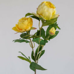 rtc-3946ye-peony-spray-yellow