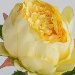 rtc-3946ye-peony-spray-yellow-closeup