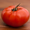 Tomato Beefsteak 10cm