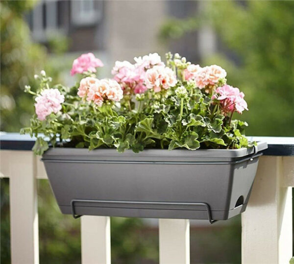 All in 1 50cm trough for balcony planting
