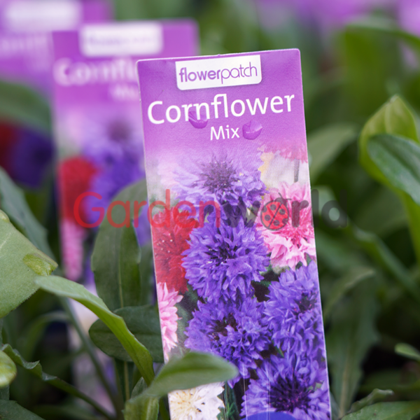 Cornflower Mix