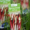 Spring Onion Red Legs