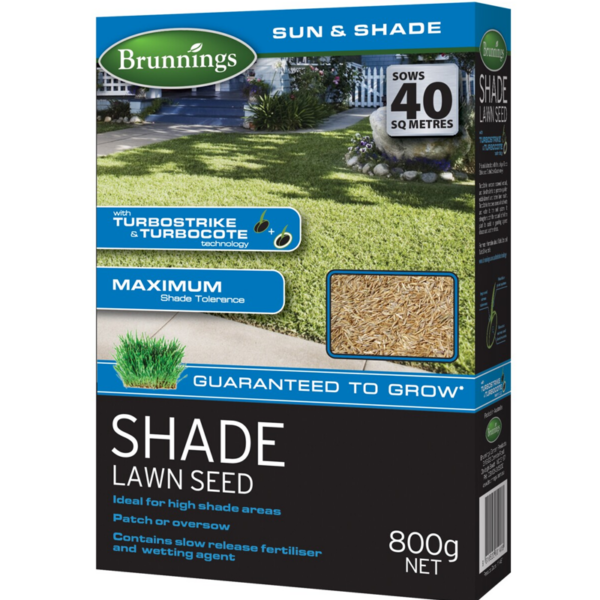 Brunnings Shade Lawn Seed
