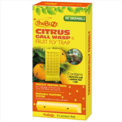 Citrus Gall Wasp & Fruit Fly Trap