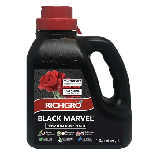 Black Marvel Rose & Flower