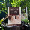 Finger Lime Pink Ice 18cm