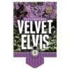 Plectranthus Velvet Elvis