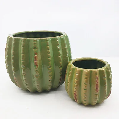 Cactus Pots Comparison Image