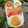 Yuzu Lemon