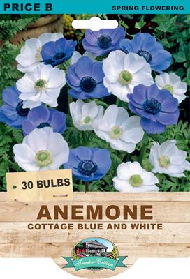 anemone cottage blue hite