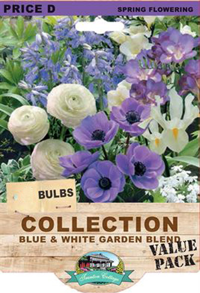 collection_blue_and_white