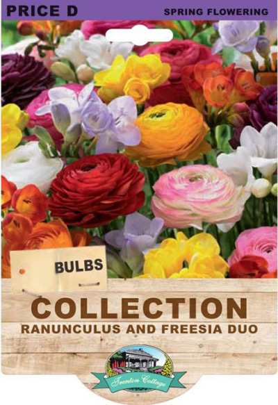 collection_ranunculus_freesia_duo