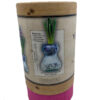 hyacinth-vase kit