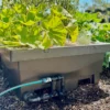 Auto watering foodcube